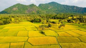 Thuê xe du lịch tại An Giang