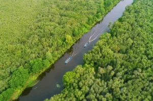 Thuê xe du lịch tại Tân Trụ