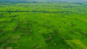 Thuê xe du lịch tại Tri Tôn