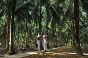 Từ Sài Gòn Đi Bến Tre Bao Nhiêu Km