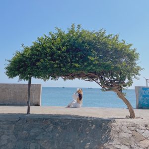 Thuê xe du lịch tại Hàm Thuận Bắc