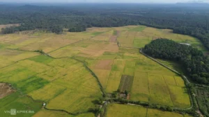 Thuê xe du lịch tại Thống Nhất